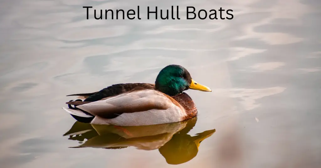 Tunnel Hull Boats