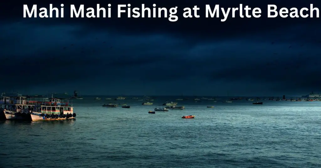 Mahi-Mahi-Fishing-at-Myrlte-Beach